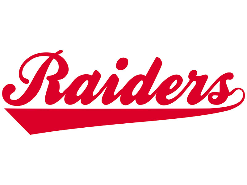 HamiltonRaidersNN